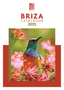Briza Catalogue 2025